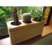 Cactus Planter